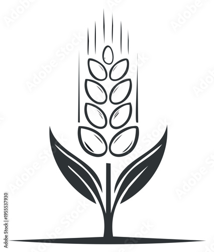 Minimalist wheat stalk icon graphic symbolizing agriculture harvest and natural food