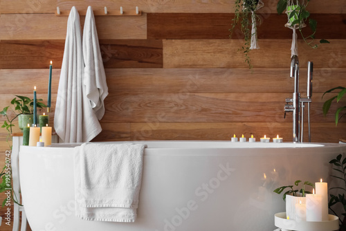 Bathtub, houseplants and bu...
