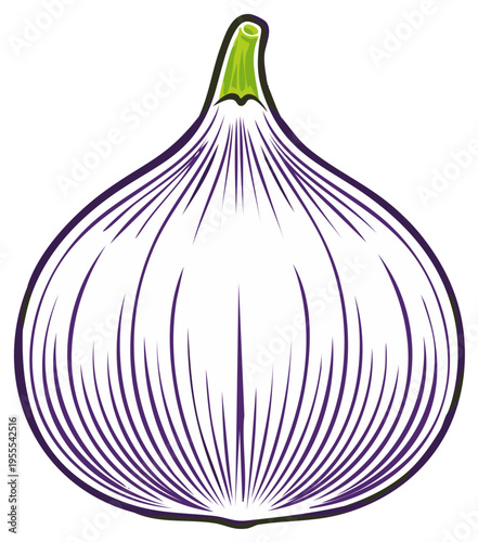 Vector Illustration of a Ripe Purple Fig with a Green Stem