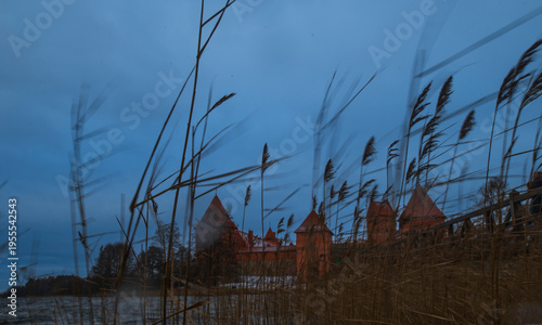 the island castle of trakai, lithuania through the grass