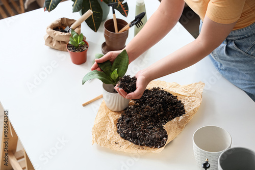Young woman repotting plant...