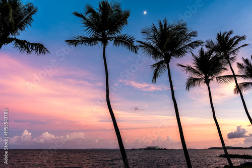 Sunset in the carribean with palm trees 