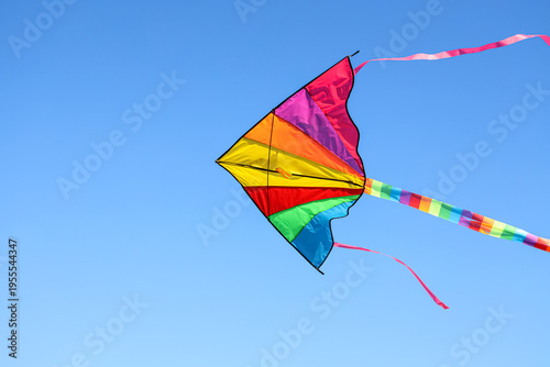 Beautiful colorful kite fly...
