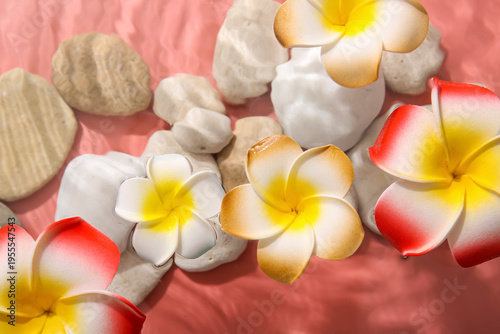 Beautiful plumeria flowers ...