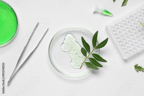 Petri dish and laboratory e...