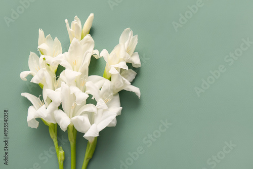 Beautiful white gladiolus f...