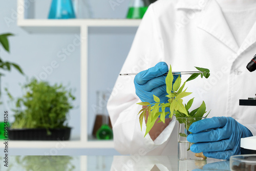 Female scientist with flask of sample and sprout in laboratory, closeup