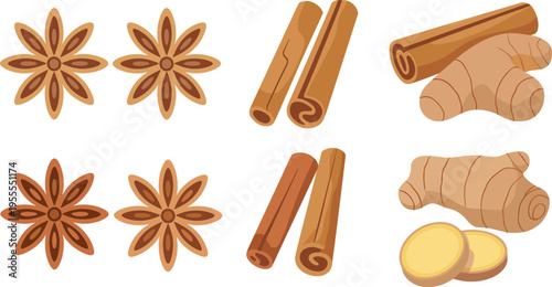Star anise cinnamon sticks and ginger root vector illustration set isolated spice elements for cooking organic herbal ingredient design
