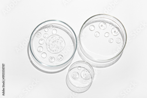 Petri dishes with different...