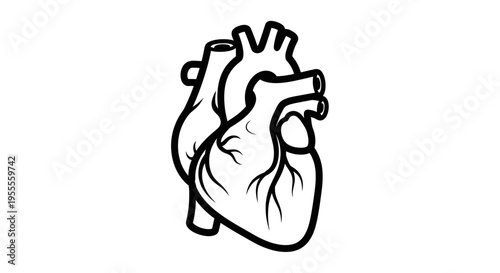 Black and White Outline of Human Heart, Medical Symbol, Cardiology Concept