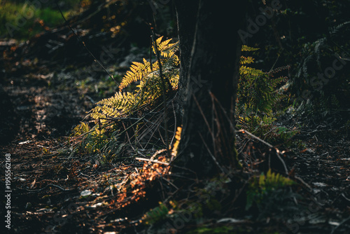 Spring background, nature coming to life