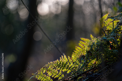 Spring background, nature coming to life