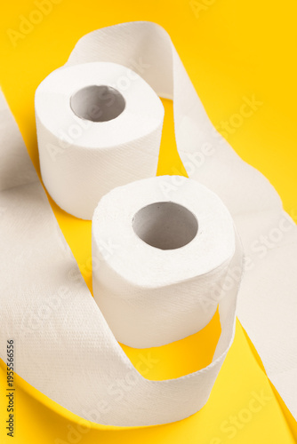 Rolls of toilet paper on ye...