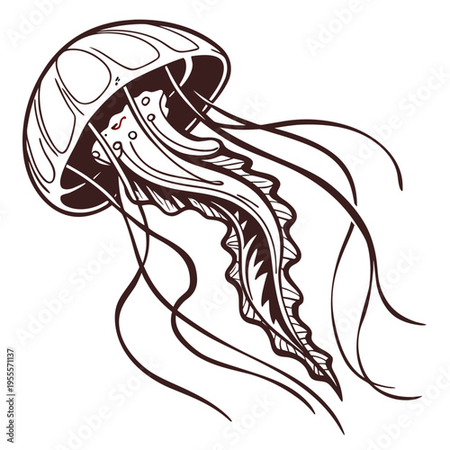 Vector jellyfish illustration in brown and white