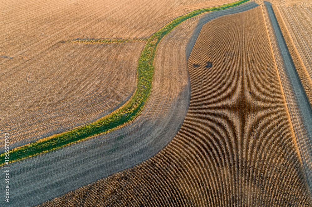 Fototapeta premium 63801-13115 Partially harvested corn field in fall-aerial Marion Co. IL