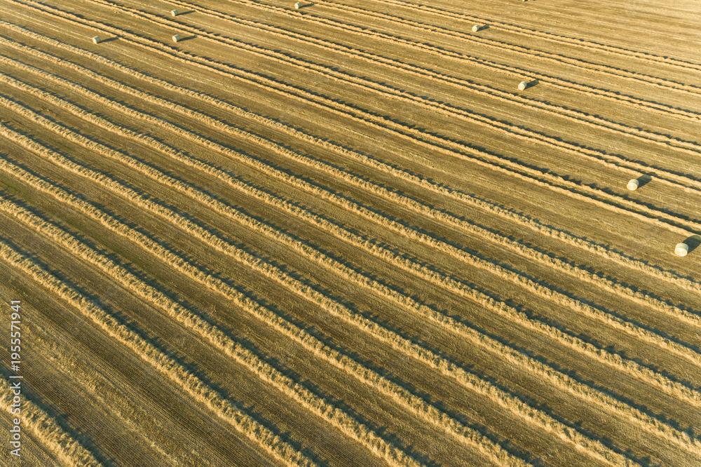 Obraz premium 63801-17204 Aerial view of rows of wheat straw before baling and round bales Marion Co. IL