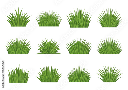 Diverse Green Grass Tufts and Bushes Collection in Cartoon Style.
