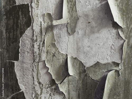 Peeling paint on the wall. Old concrete wall with cracked flaking paint. Weathered rough painted surface with patterns of cracks and peeling. Grunge texture for background and design.