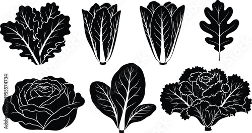Black Lettuce and Leafy Greens Silhouettes Vector Icon Set Featuring Romaine Spinach Cabbage Kale and Oak Leaf Icons for Kitchen Design