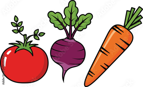 Flat Design Vector Icon Set of Fresh Garden Vegetables Featuring Red Tomato Purple Beetroot and Orange Carrot for Healthy Eating Projects