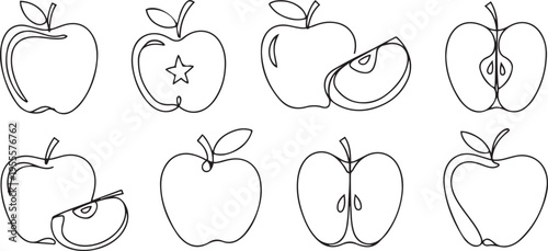 Line apple set. Sketch sliced apples collection. Hand-drawn slices, whole and half linear fruits. Vector isolated on white. one line Icon drawing