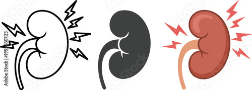 Set of three minimalist human kidney icons in outline and detailed anatomical styles for urology health medical education and renal system research concepts isolated on white background.