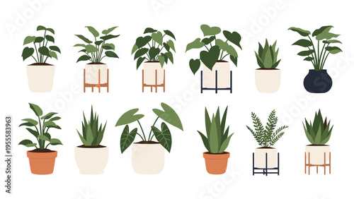 Diverse collection of indoor house plants in various stylish pots and stands, ideal for home decoration and creating a green interior space.