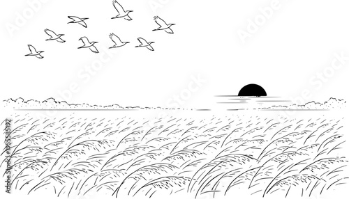 AI Generated Golden Paddy Field at Sunset with Flying Herons in Serene Countryside Line Art