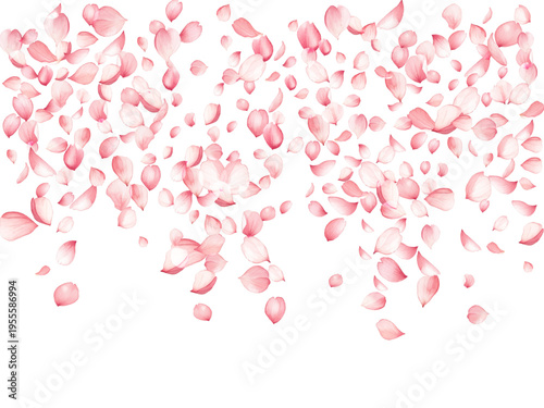 Organic apple tree blossom petals flying on white groundwork vector illustration. Mother's day floral decor elements. Peaceful spring pink bloom petals gentle Relaxing concept.