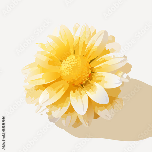 Sanfte gelbe Margerite