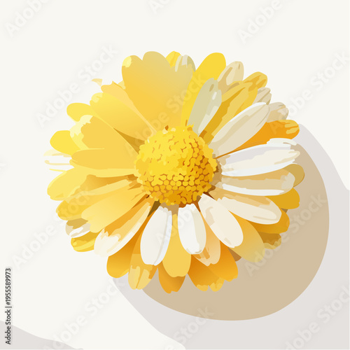 Sanfte gelbe Margerite