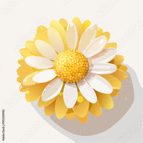 Sanfte gelbe Margerite