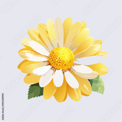 Sanfte gelbe Margerite