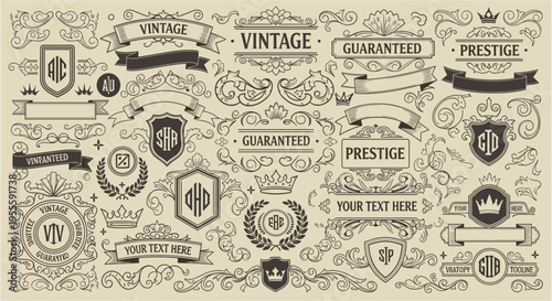 Vintage decorative elements and emblems with ornate borders and shields