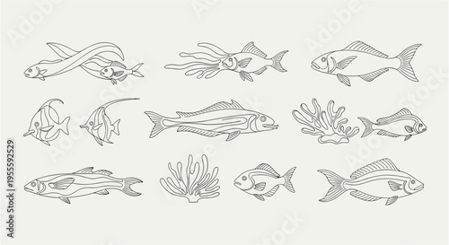 Collection of stylized line art fish and coral illustrations on a neutral background