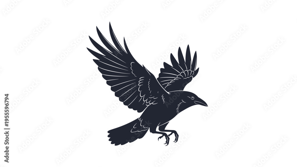 Obraz premium Black raven with wide wingspan soaring through the air against a plain white background highlighting its detailed feather patterns and form.