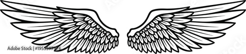 Silhouette of a pair of wings spread wide