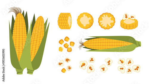 Various forms of yellow corn are displayed including whole cobs with husks, loose kernels, sliced sections, and light fluffy popcorn.