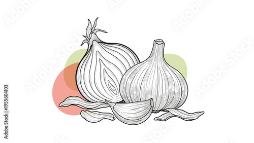 Detailed hand drawn sketch illustrates fresh onion and garlic bulbs with cloves against a soft background of colorful organic shapes.