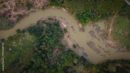 Aerial view tropical green tree forest river canal curve