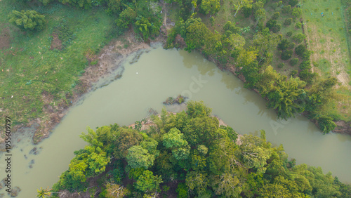 Aerial view tropical green tree forest river canal curve