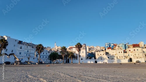 Tangier medina cityscape featuring traditional white buildings, vibrant colorful houses, and green palm trees under a bright blue sky, with seagulls flying over the foreground