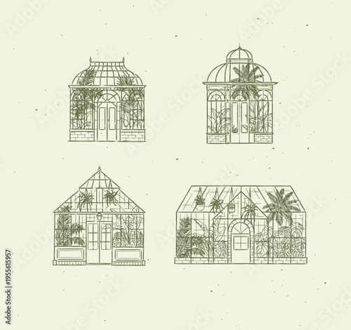 Greenhouse interior illustrations with potted and hanging plants drawing in line art graphic style with green color on light background