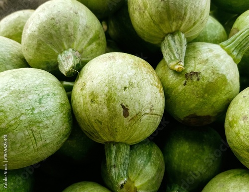 Bilde på lerret Indian Summer Squash or Round Zucchini also known Chappan Kaddu