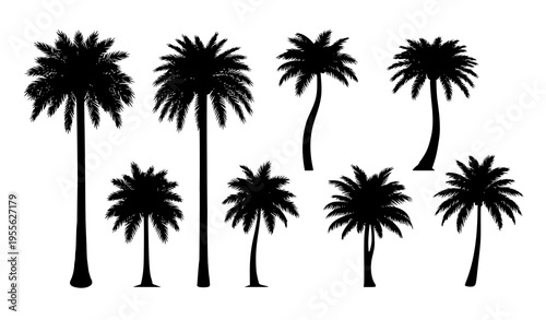 Black date palm tree silhouettes vector illustration tropical tree set