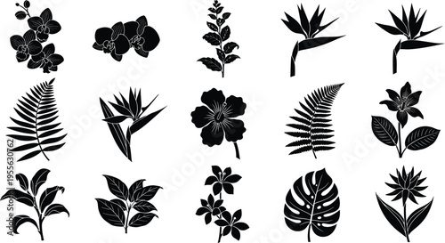 Black silhouettes of various tropical flowers and leaves