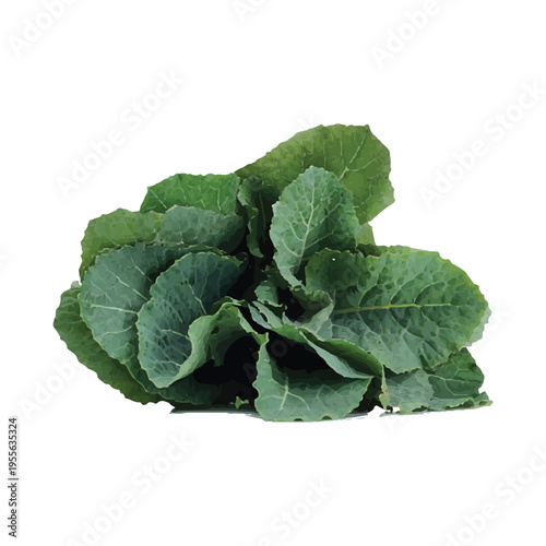 Fresh Green Leafy Vegetables