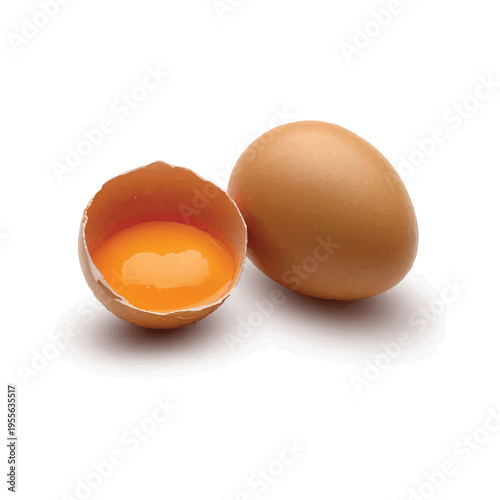 Cracked Egg and Whole Egg