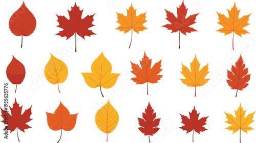 Autumn Fall Leaf Vector Illustration Set Featuring Colorful Maple Birch and Oak Leaves in Red Orange and Yellow Tones for Seasonal Decorative Greeting Cards and Nature Backgrounds.