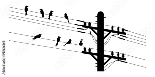 A black silhouette illustration showing several birds perched on overhead power transmission lines Vector, illustration